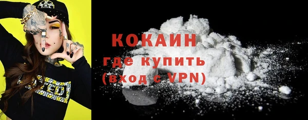 прущие грибы Горнозаводск