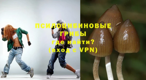 бошки Верхнеуральск